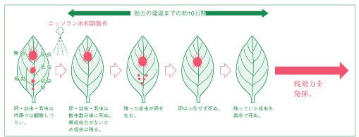 イラストトレス05